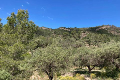 Landejendom i El Perello, Tarragona, El Perello - € 36.000 | Ref: Finca Montanas - foto 44